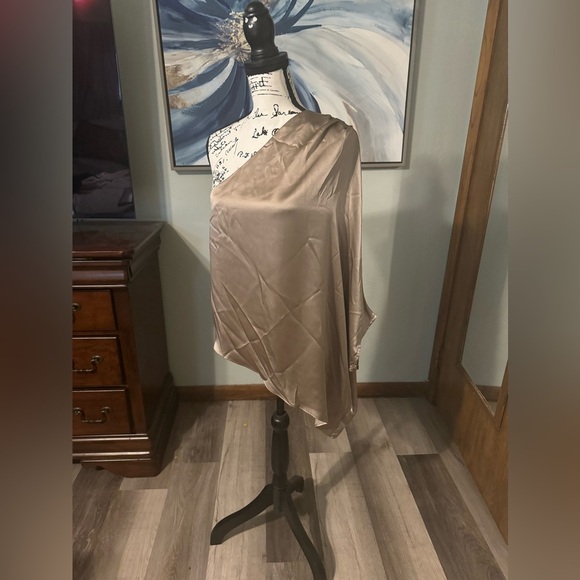 NWOT Leah Drape Silk One Shoulder Top in Champagne Sz. Medium - Picture 1 of 8